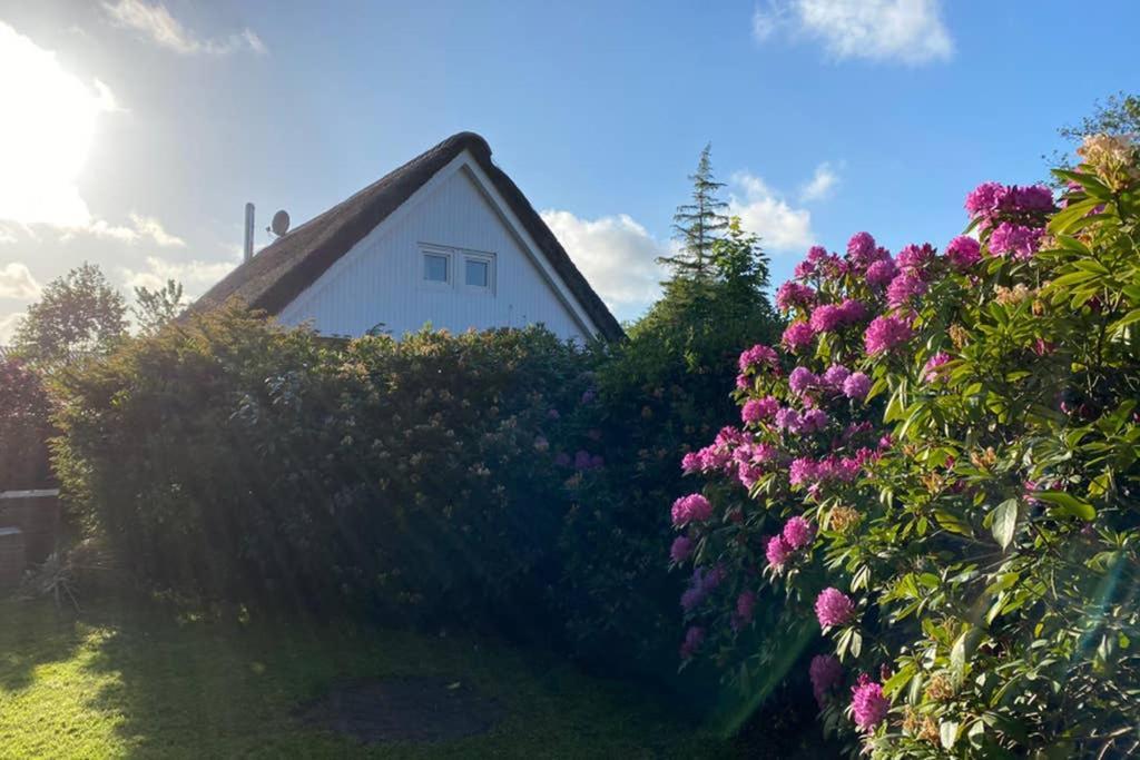 Ferienhaus Butterblume Sudbrookmerland ภายนอก รูปภาพ